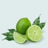 Fresh Lime