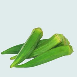 Okra (Lady Finger)