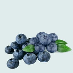 Fresh Blueberries (Punnet)
