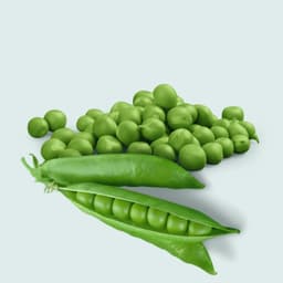 Garden Peas