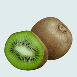 Kiwi Fruit