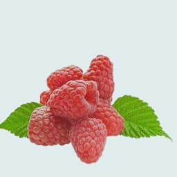 Raspberries