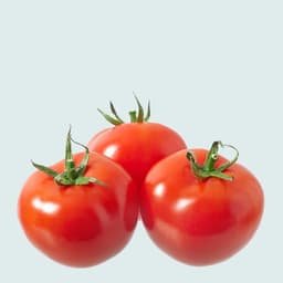 Tomatoes