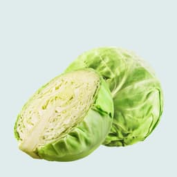 White Cabbage