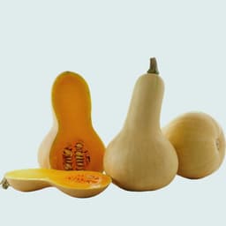 Butternut Squash (1-1.5kgs)