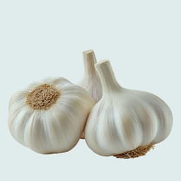 Imported Garlic