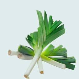 Leek