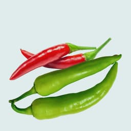 Chili Peppers (Hot Peppers)