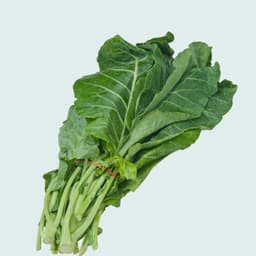 Sukuma Wiki (Collard Greens) per Bunch.