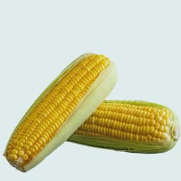 Sweet Corn (2pcs Pack)